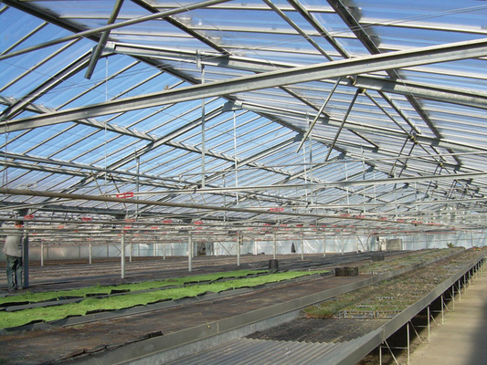 Klare Wellpolycarbonatplatten Wellplatten für Oberlichter gewellte lichtdurchlässige Dachplatten