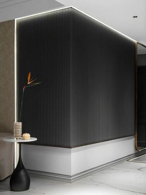 Einfache Installation WPC-Wandpaneel für den Außenbereich 2,9 m/3 m/kundenspezifische Länge mit Clips und Schrauben